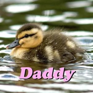 Meet your Posher, Benjamin